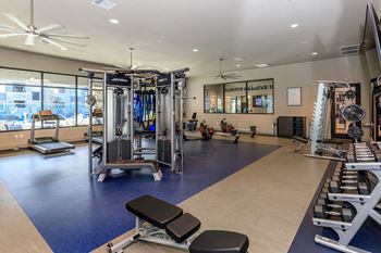 Clubhouse gym